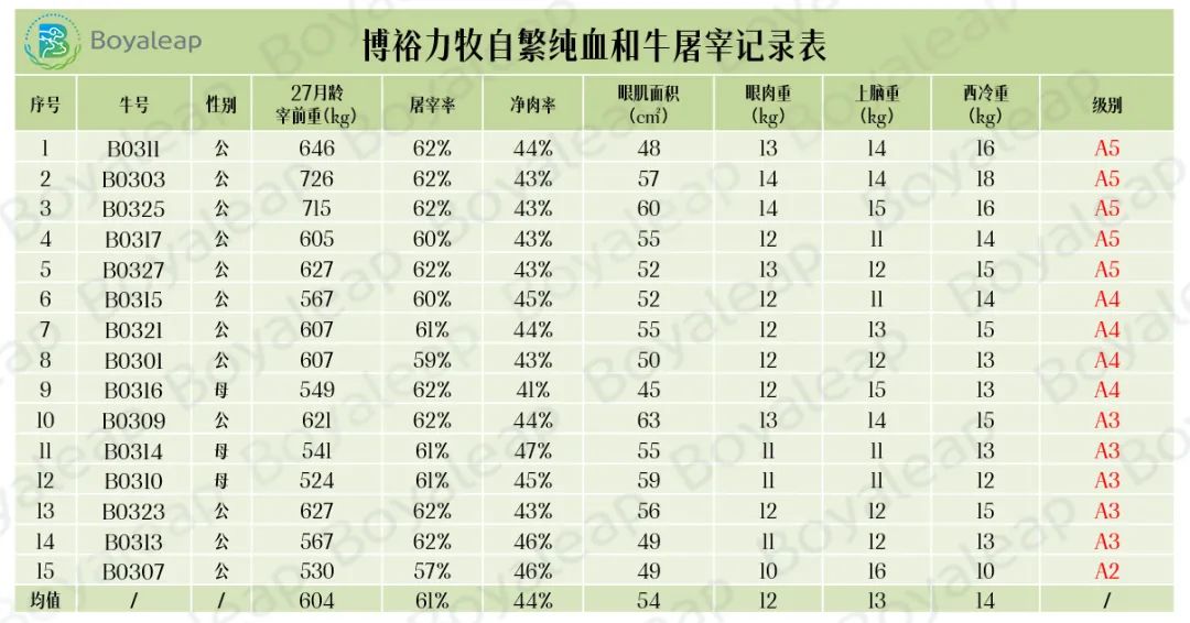 血统纯正科学饲喂 九游APP总区生物纯血和牛数据全跟踪